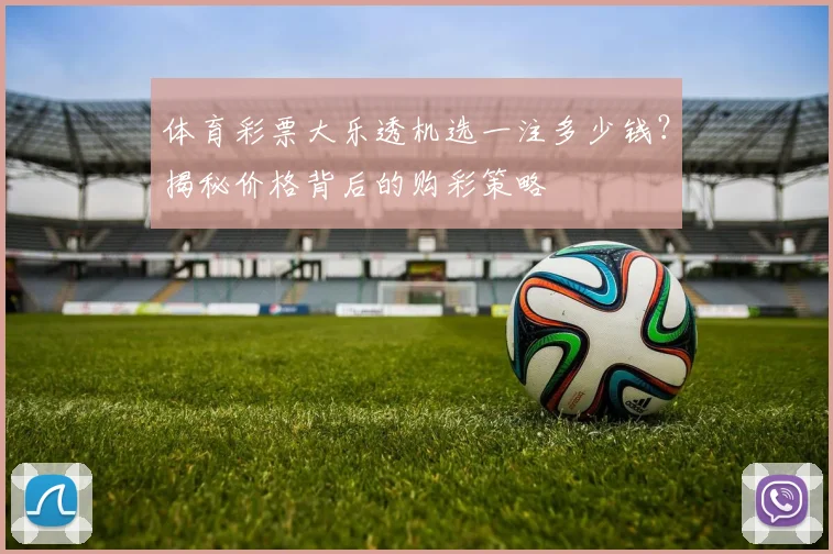 体育彩票大乐透机选一注多少钱?揭秘价格背后的购彩策略